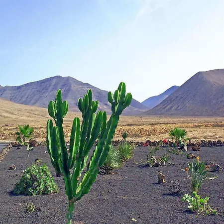 Ferienhaus Mit Privatpool Fur 6 Personen Ca 140 Qm In Tindaya, Fuerteventura Westkuste Von Fuerteventura * La Oliva